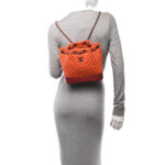 Aged Calfskin Chevron Quilted Small Gabrielle Backpack Dark Red Orange - Image 2