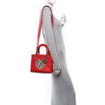 Calfskin Niki De Saint Phalle Medium Supple Lady Dior Red - Image 2