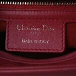 Calfskin Niki De Saint Phalle Medium Supple Lady Dior Red - Image 7