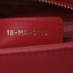 Calfskin Niki De Saint Phalle Medium Supple Lady Dior Red - Image 8