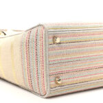 Canvas Embroidered Medium Lady D-Lite Beige Multicolor - Image 9