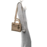 Canvas Embroidered Medium Lady D-Lite Beige - Image 2