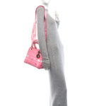 Canvas Toile De Jouy Reverse Embroidered Medium Lady D-Lite Fluorescent Pink - Image 2