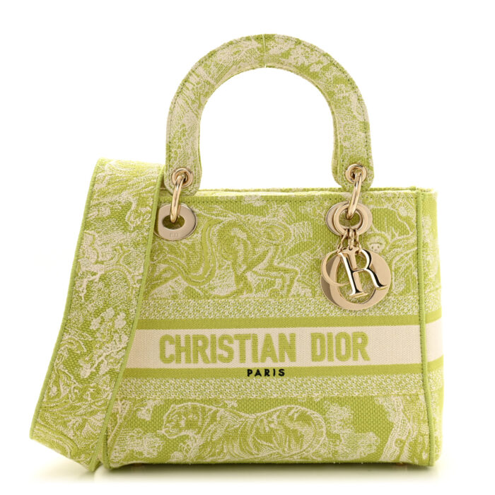Canvas Toile De Jouy Reverse Embroidered Medium Lady D-Lite Green - Image 1