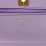 Iridescent Lambskin Quilted Glitter CC Roller Skate Wallet On Chain WOC Multicolor - Image 6