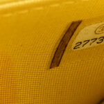 Lambskin Cotten Woven Boy Wallet On Chain WOC Yellow - Image 7