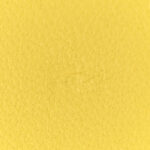 Lambskin Cotten Woven Boy Wallet On Chain WOC Yellow - Image 10
