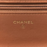 Lambskin Quilted Chanel 19 Wallet On Chain WOC Brown - Image 6