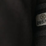 Metallic Grained Goatskin Gabrielle Backpack Dark Silver Gold - Image 5