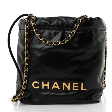 Shiny Calfskin Quilted Mini Chanel 22 Black