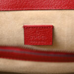 Calfskin Web Raccoon Embroidered Medium Dionysus Shoulder Bag Red - Image 7