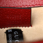 Calfskin Web Raccoon Embroidered Medium Dionysus Shoulder Bag Red - Image 8