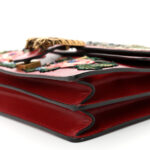 Calfskin Web Raccoon Embroidered Medium Dionysus Shoulder Bag Red - Image 11