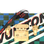 Damier Race Petite Malle Blue Vert - Image 7