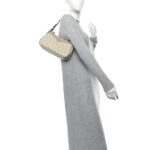 GG Supreme Monogram Textured Dollar Calfskin Small Ophidia Hobo Beige Mystic White Oatmeal - Image 2