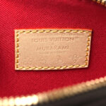 LV X TM Monogram Cerises Nano Alma - Image 7
