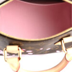 LV X TM Monogram Cherry Blossom Speedy Bandouliere 25 Sakura Brown - Image 5