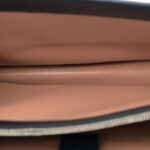 Lanzo Stretch Cord Azalea Calfskin Small Dionysus Shoulder Bag Pink Blue - Image 5