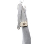 Metallic Lizard Petite Malle Silver - Image 2