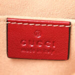 Monogram Azalea Calfskin Matelasse Diagonal Small GG Marmont Chain Shoulder Bag Beige Ebony New Cherry Red - Image 8