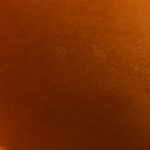 Monogram Giant Jungle NeoNoe Caramel - Image 11