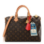 Monogram Speedy Soft Crafty 30