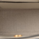 Raffia Textured Dollar Calfskin Web Houndstooth Mini Diana Tote Bag Light Blue Natural Deep Orange - Image 5