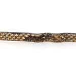 Snakeskin Mini Jackie 1961 Hobo Beige - Image 13