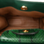 Snakeskin Small Diana Tote Green Black - Image 5
