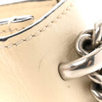 Textured Calfskin Crystal Mini Dionysus Shoulder Bag Mystic White - Image 13