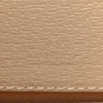 Textured Dollar Calfskin Mini Diana Chain Bag White - Image 8