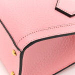 Textured Dollar Calfskin Web Mini Diana Tote Bag Wild Rose Black - Image 17